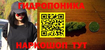 сатива Заволжье