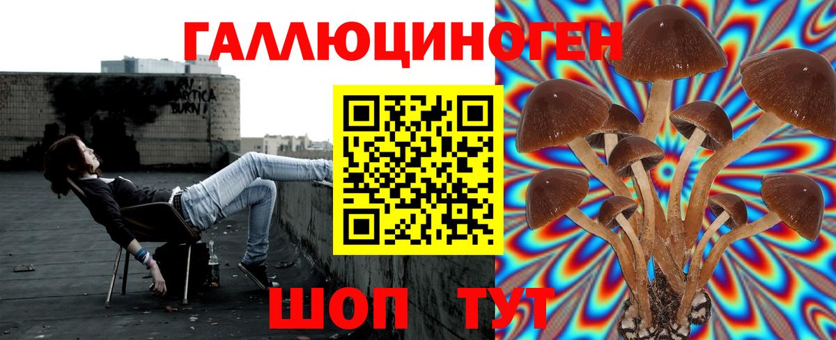 Малоярославец  Псилоцибиновые грибы MAGIC MUSHROOMS  Вход с VPN 